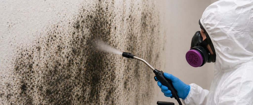 Technician Treating Mold Wearing Ppe
